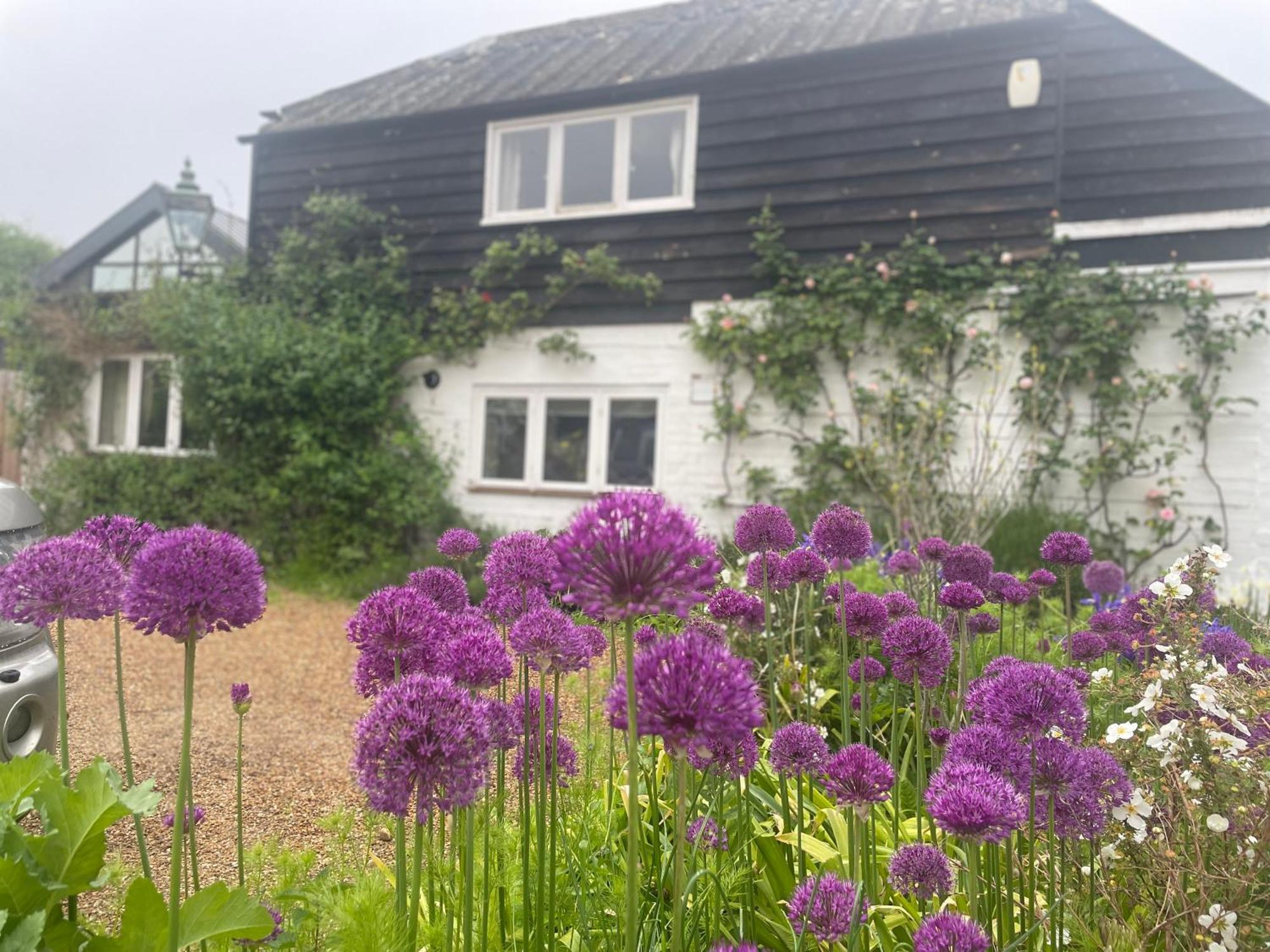 Beautifully Appointed One-Bedroom Cottage Shepreth Exterior photo